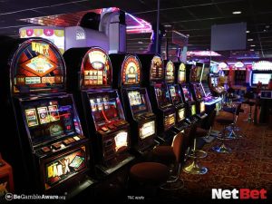 5526|Entre agora bingo online com app exclusivo Ganhe Agora